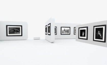 BANDO DI IDEE PER LA REALIZZAZIONE DI MOSTRE ED EVENTI ESPOSITIVI DI ARTE CONTEMPORANEA E DI DESIGN  