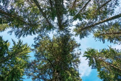 BANDO DI GARA PER LA CONCESSIONE IN LOCAZIONE DELL’IMMOBILE DENOMINATO “LA DIREZIONE” 