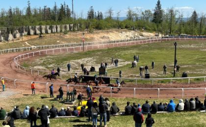 Piancastagnaio, nuove regole e tariffe per l’utilizzo della pista equestre “Madonna di San Pietro”