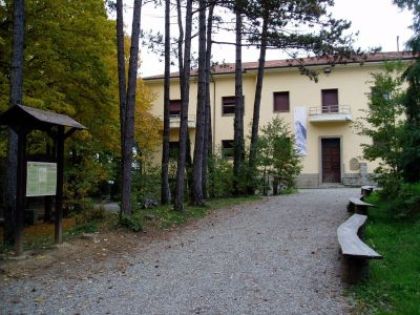  Piancastagnaio, il Comune invita al convegno sulla micologia: “Il Pigelleto è un patrimonio da valorizzare”