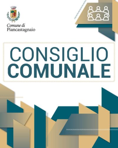 consiglio comunale