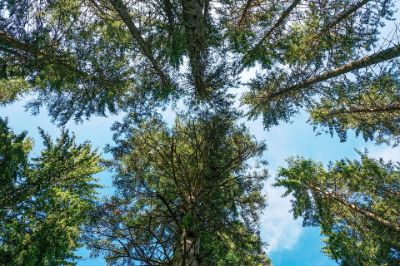 La-Riserva-Naturale-del-Pigelleto