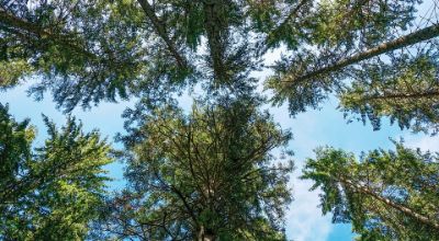 La-Riserva-Naturale-del-Pigelleto