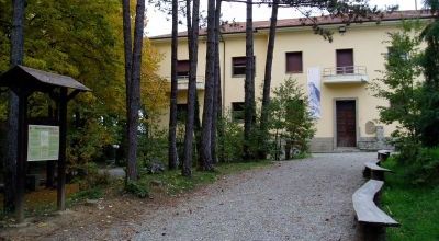 pigelleto1